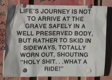 Li'fe Journey is Not to Arrive at the Grave Safely